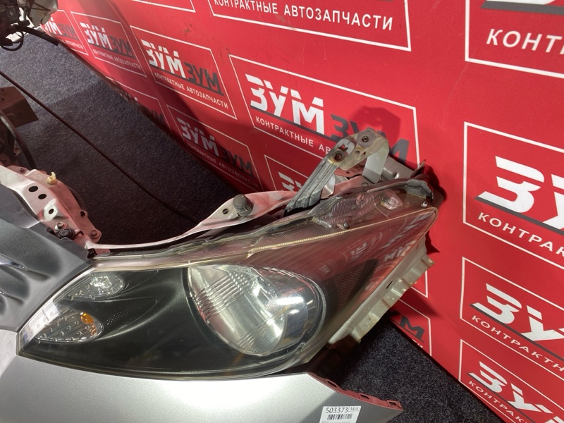 Ноускат, 45000 рублей, Красноярск