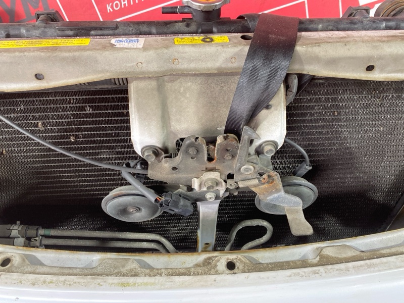 Nose cut, 80000 рублей, Солонцы