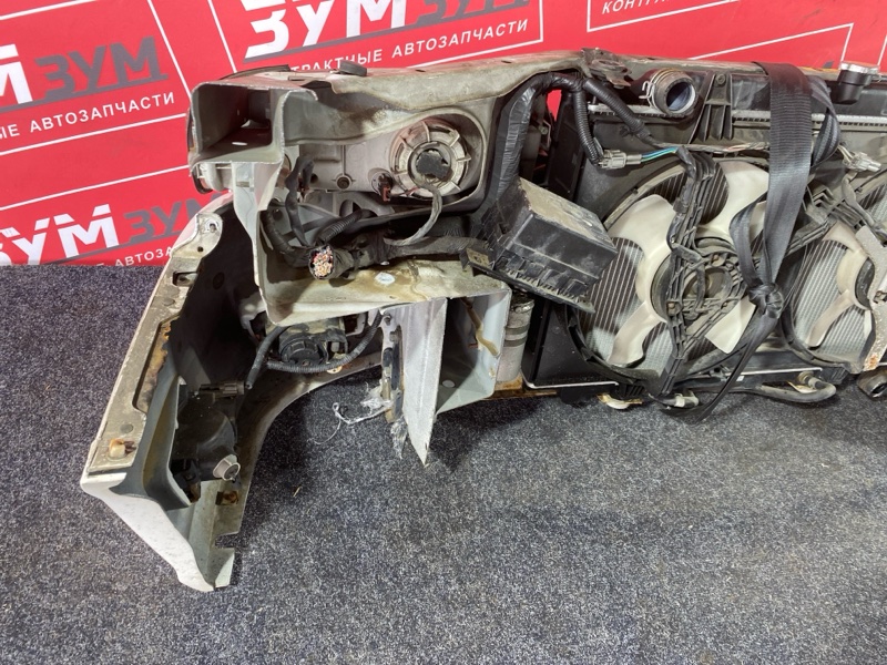 Nose cut, 80000 рублей, Солонцы