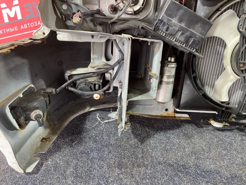 Nose cut, 80000 рублей, Солонцы