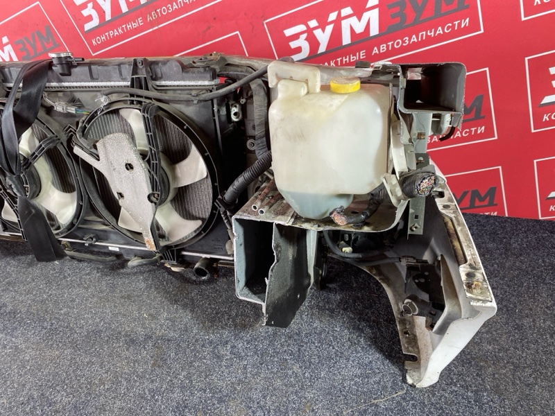 Nose cut, 80000 рублей, Солонцы