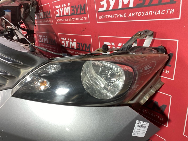 Ноускат, 45000 рублей, Красноярск