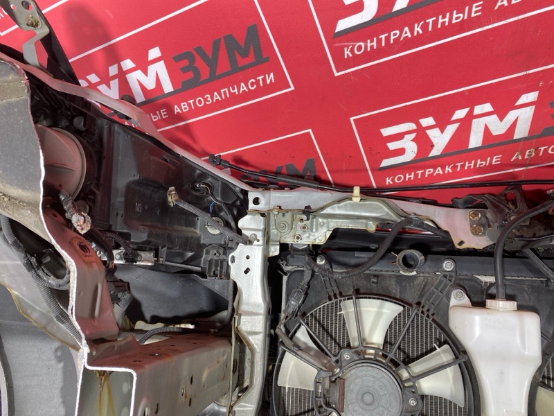Ноускат, 45000 рублей, Красноярск