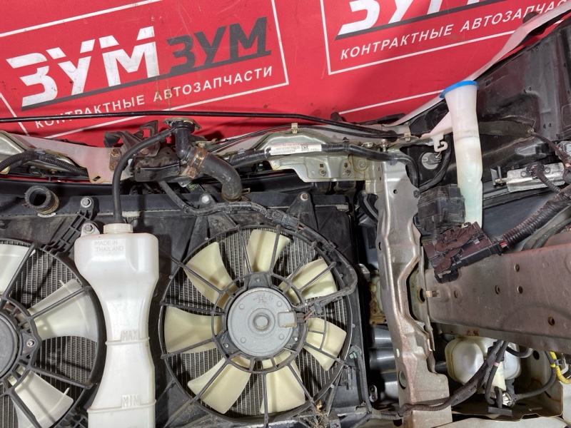 Ноускат, 45000 рублей, Красноярск