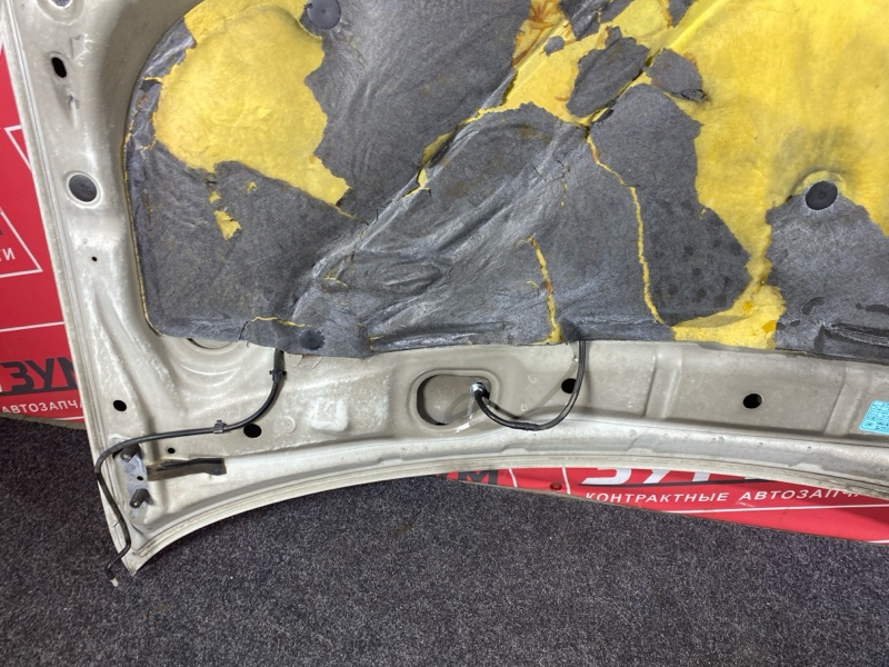 Капот, 11000 рублей, Солонцы