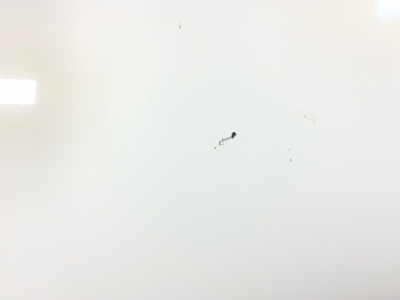 Капот, 6000 рублей, Солонцы