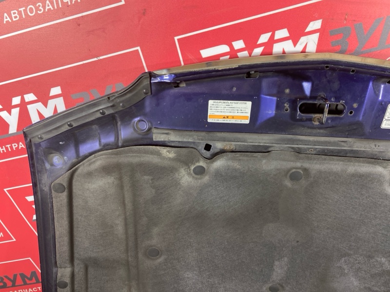 Капот, 10000 рублей, Солонцы