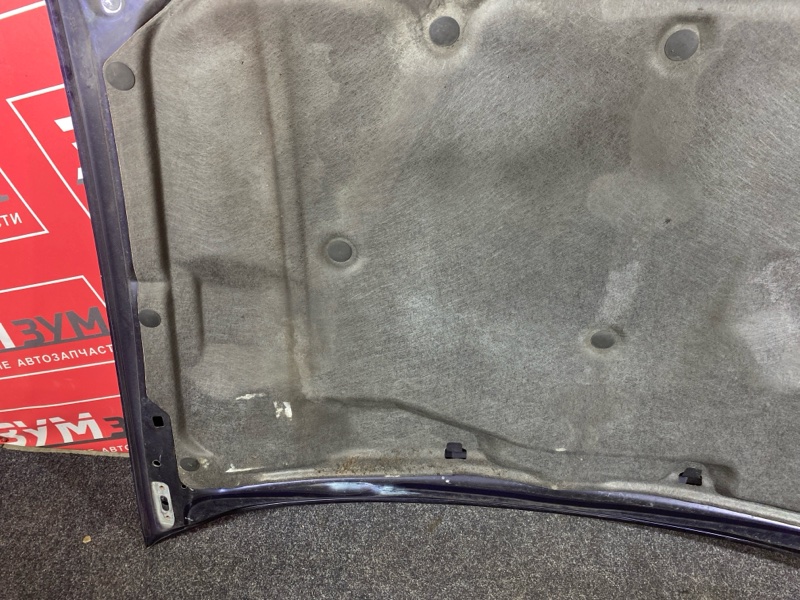 Капот, 10000 рублей, Солонцы