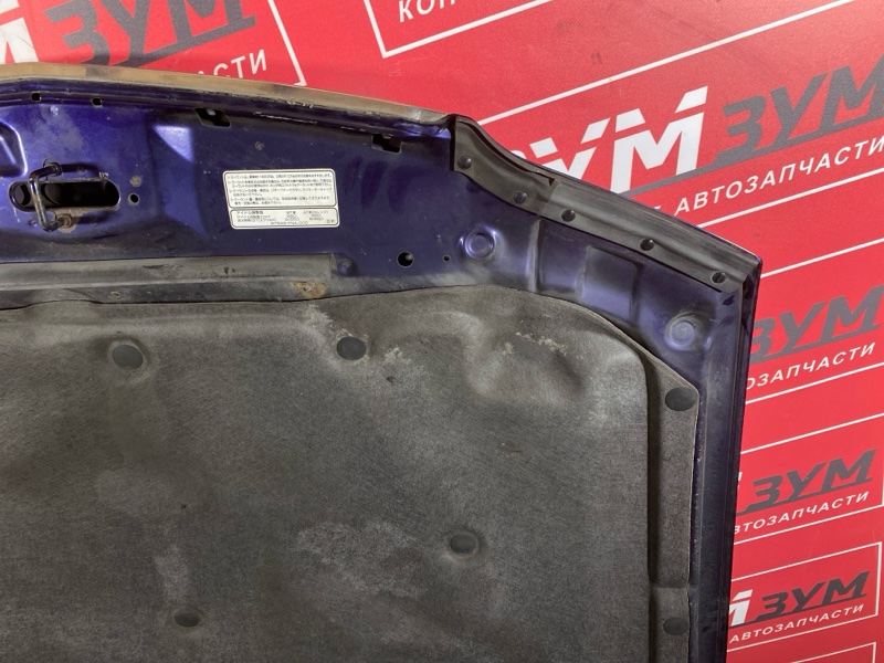 Капот, 10000 рублей, Солонцы