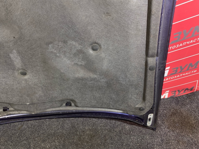 Капот, 10000 рублей, Солонцы