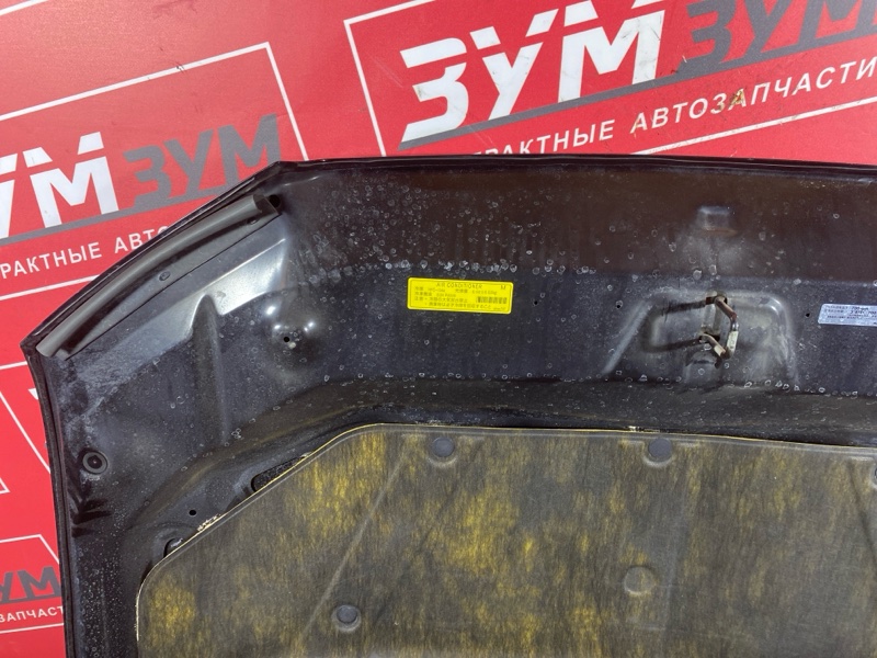 Капот, 25000 рублей, Солонцы