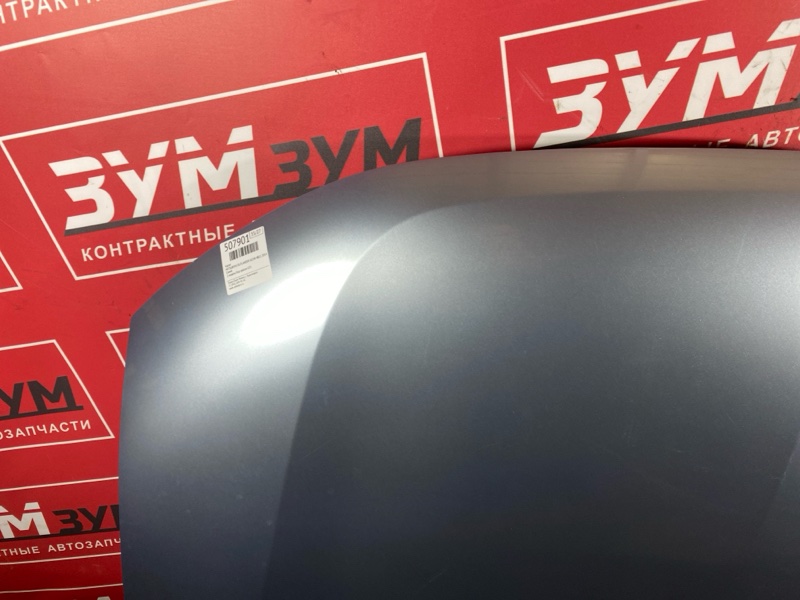 Капот, 50000 рублей, Солонцы