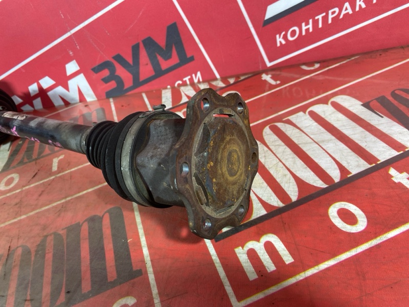 Привод, 9000 рублей, Солонцы
