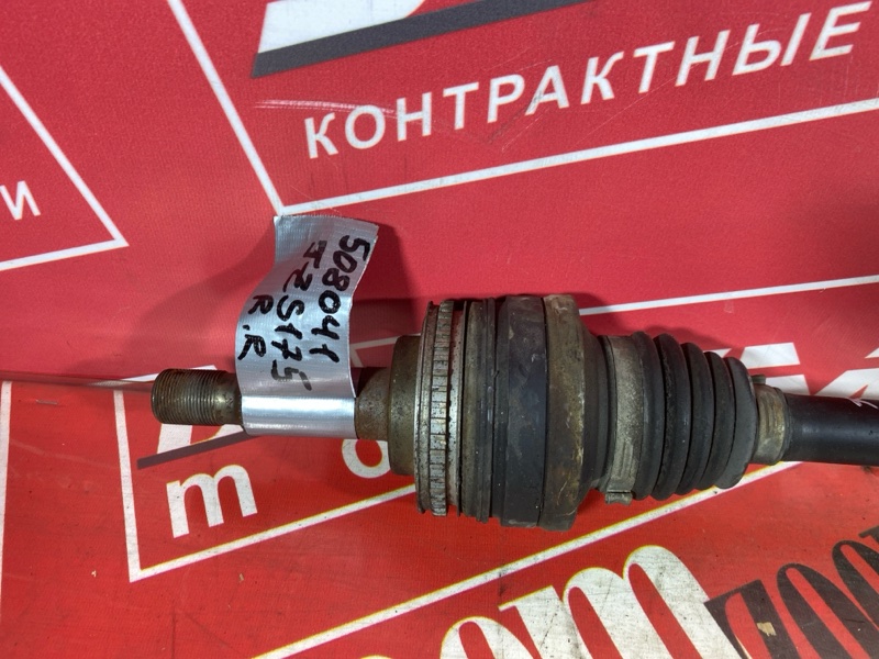 Привод, 4000 рублей, Солонцы