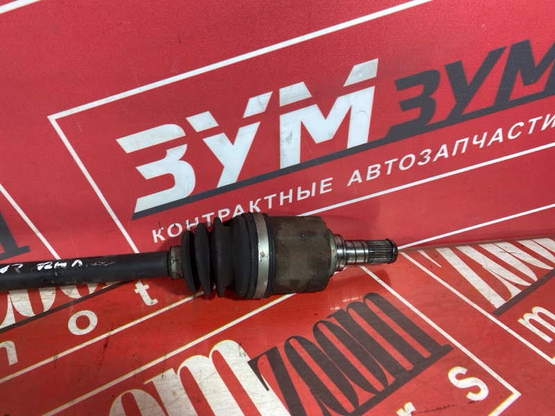 Привод, 3000 рублей, Солонцы