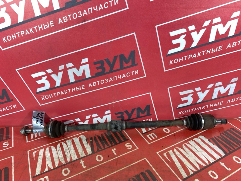 Привод, 3000 рублей, Солонцы