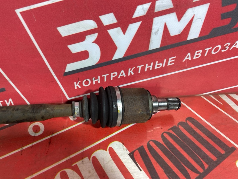 Привод, 3000 рублей, Солонцы