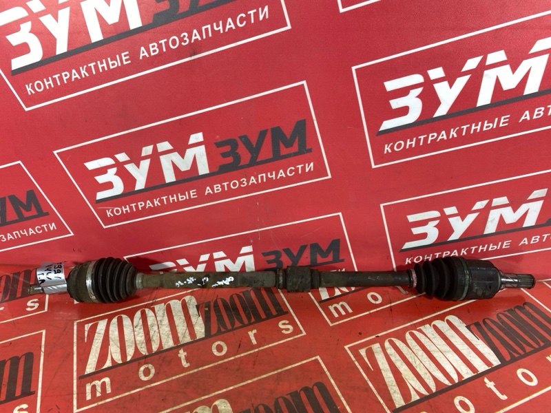 Привод, 3000 рублей, Солонцы