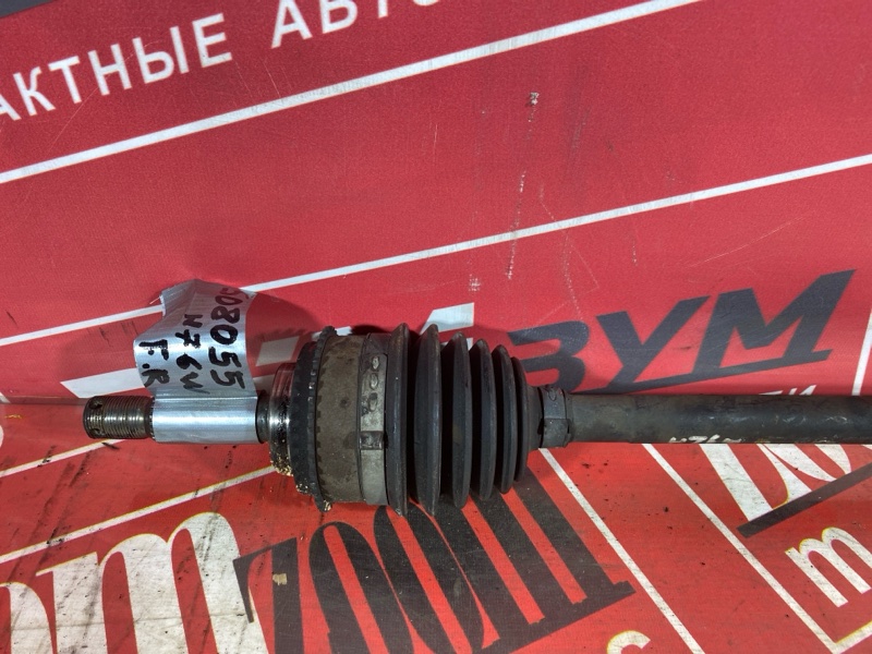 Привод, 3000 рублей, Солонцы