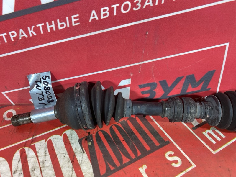 Привод, 8000 рублей, Солонцы