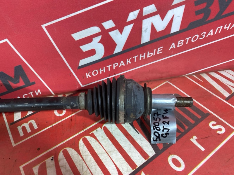 Привод, 9500 рублей, Солонцы