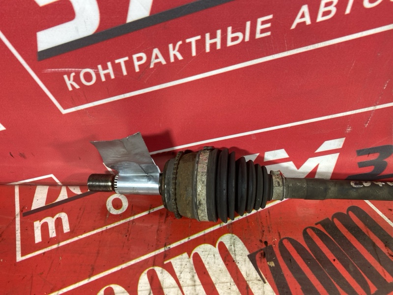 Привод, 10000 рублей, Солонцы