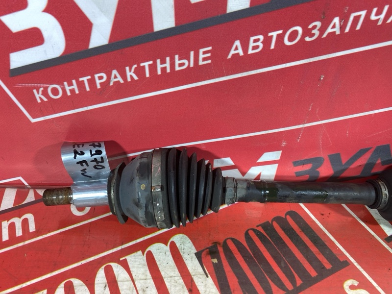 Привод, 3000 рублей, Солонцы