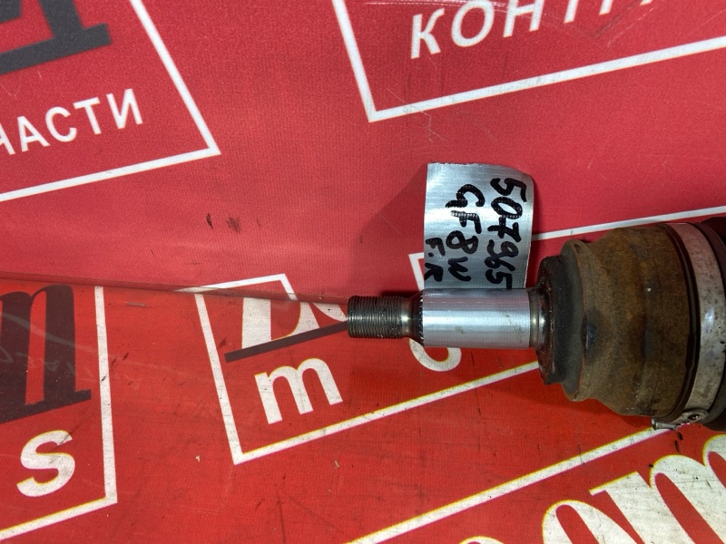 Привод, 12000 рублей, Солонцы