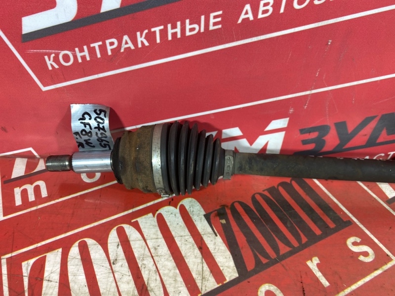 Привод, 12000 рублей, Солонцы