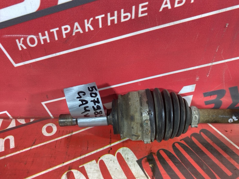 Привод, 3500 рублей, Солонцы