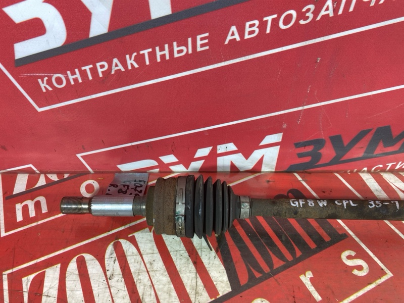 Привод, 3000 рублей, Солонцы