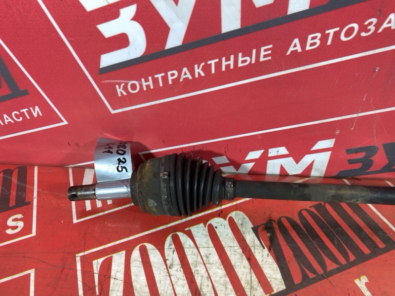 Привод, 800 рублей, Солонцы
