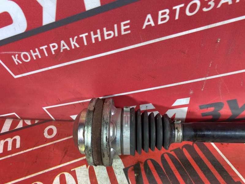 Привод, 10000 рублей, Солонцы