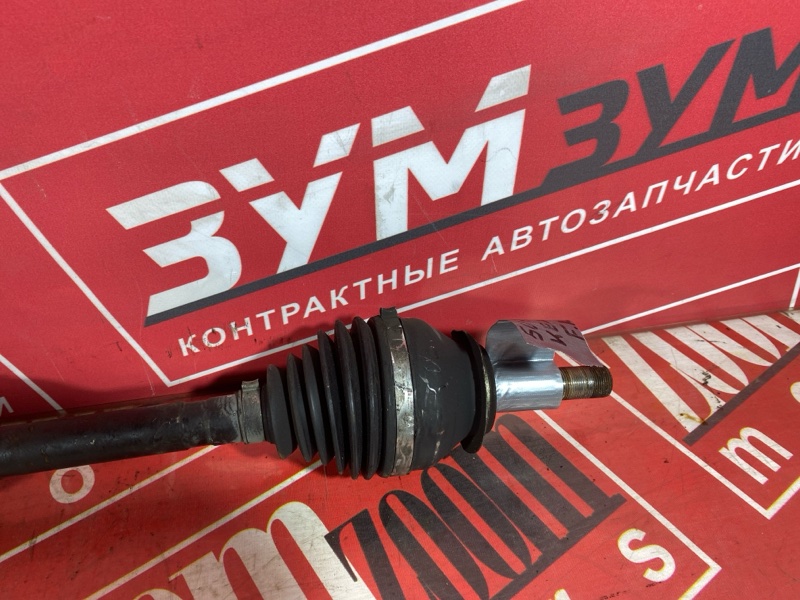Привод, 7000 рублей, Солонцы