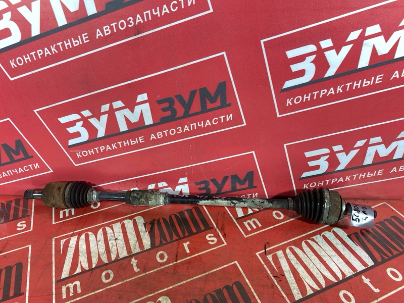Привод, 5000 рублей, Солонцы
