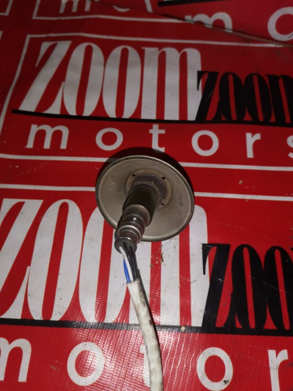 Лямбда-зонд, 1000 рублей, Солонцы