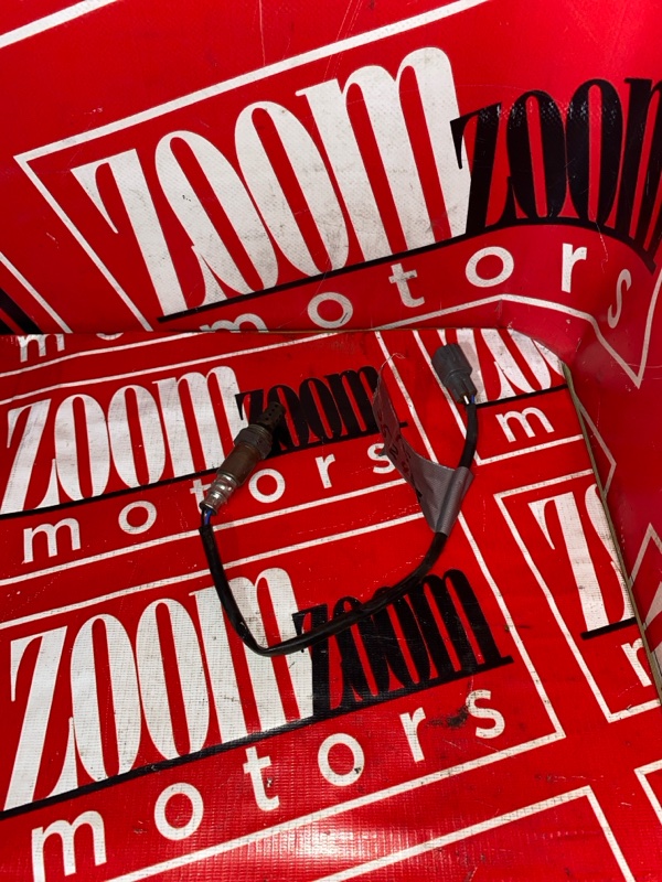 Лямбда-зонд, 1000 рублей, Солонцы