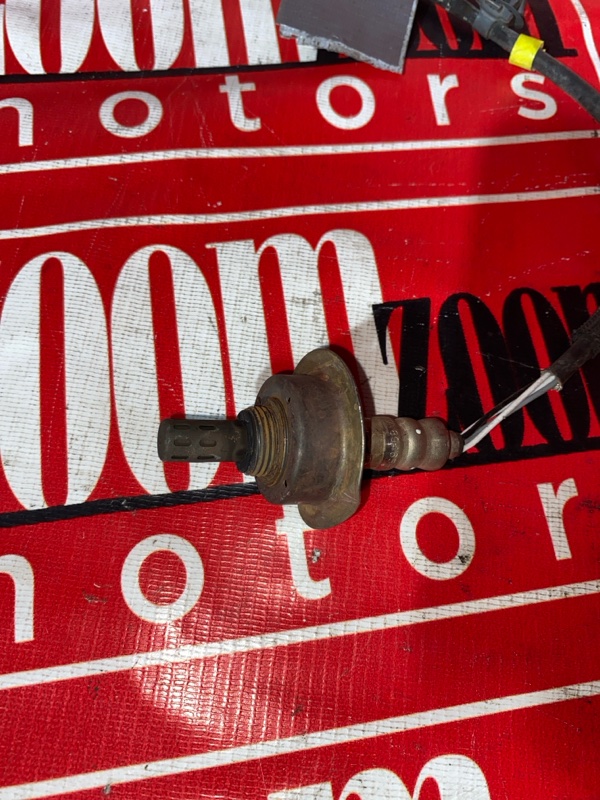 Лямбда-зонд, 1000 рублей, Солонцы