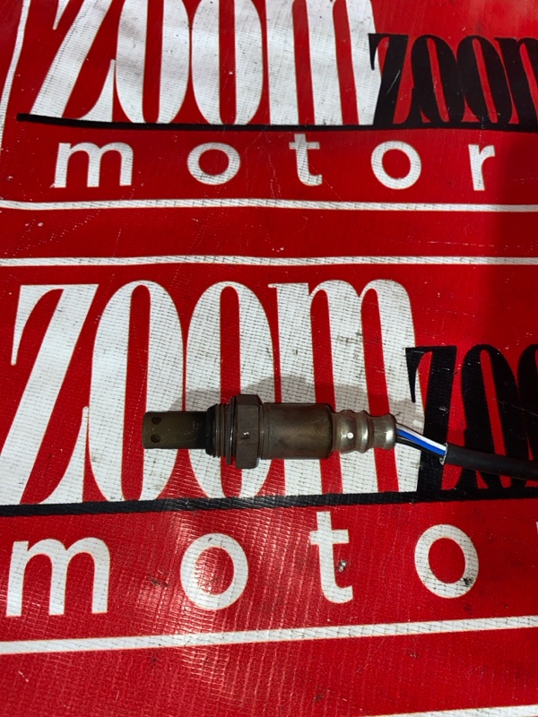 Лямбда-зонд, 1000 рублей, Солонцы