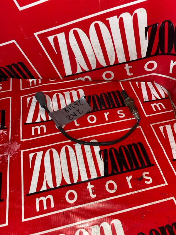 Лямбда-зонд, 1000 рублей, Солонцы