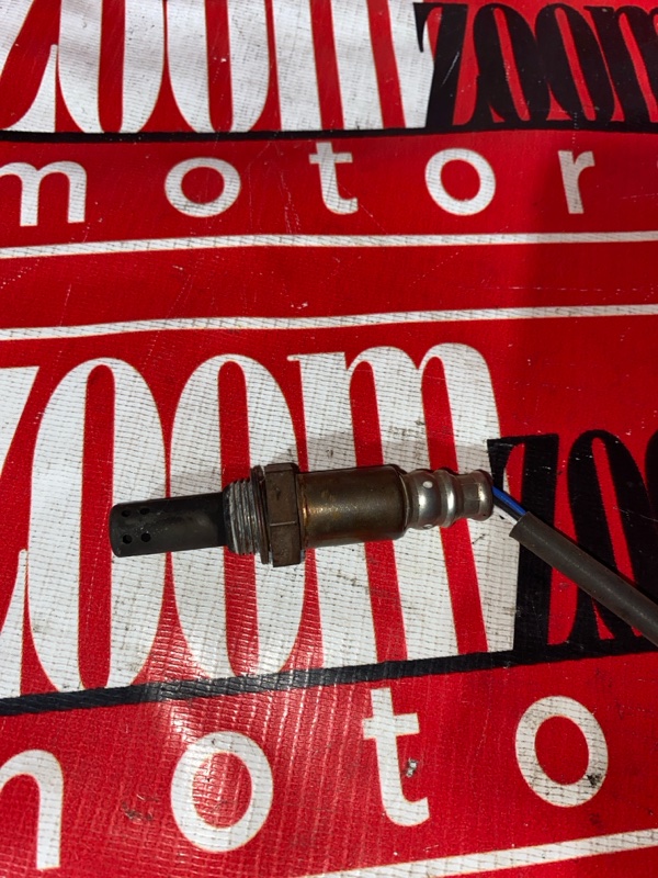 Лямбда-зонд, 1000 рублей, Солонцы