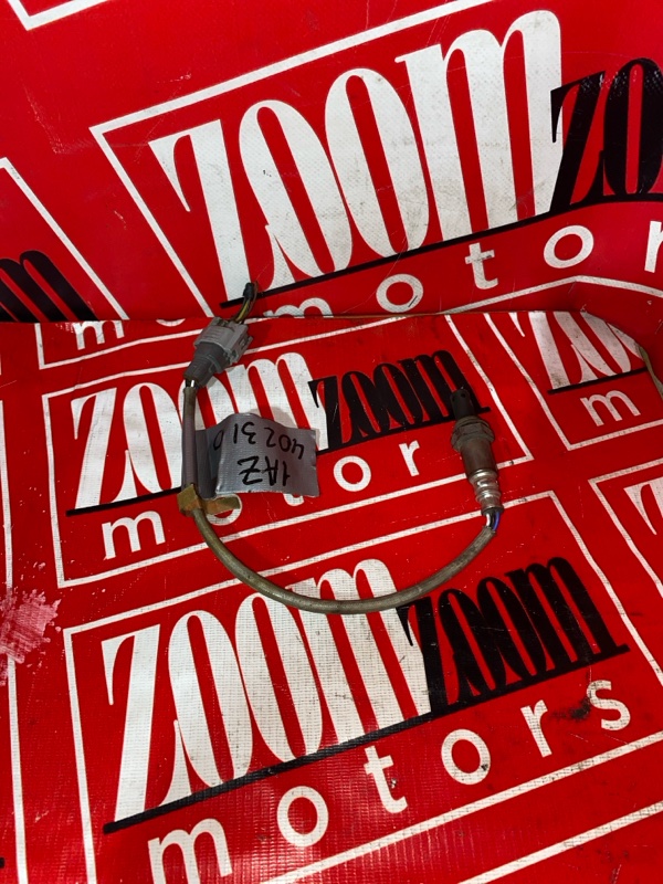 Лямбда-зонд, 1000 рублей, Солонцы