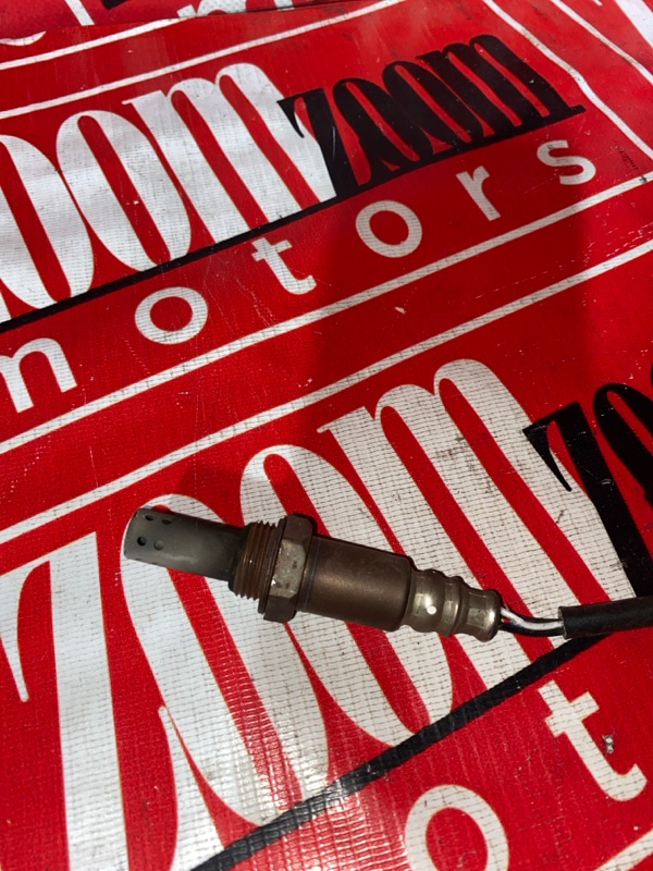 Лямбда-зонд, 1000 рублей, Солонцы