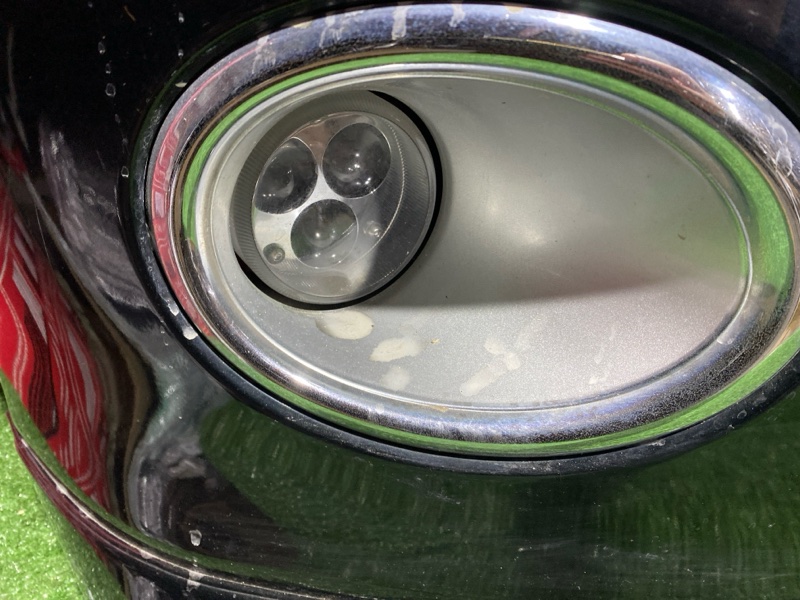 Ноускат, 65000 рублей, Красноярск