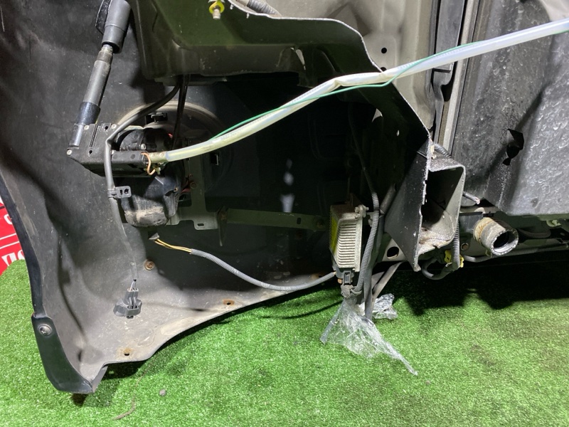 Ноускат, 65000 рублей, Красноярск