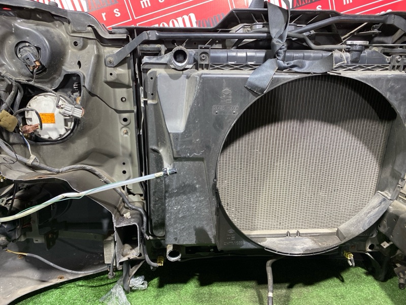 Ноускат, 65000 рублей, Красноярск