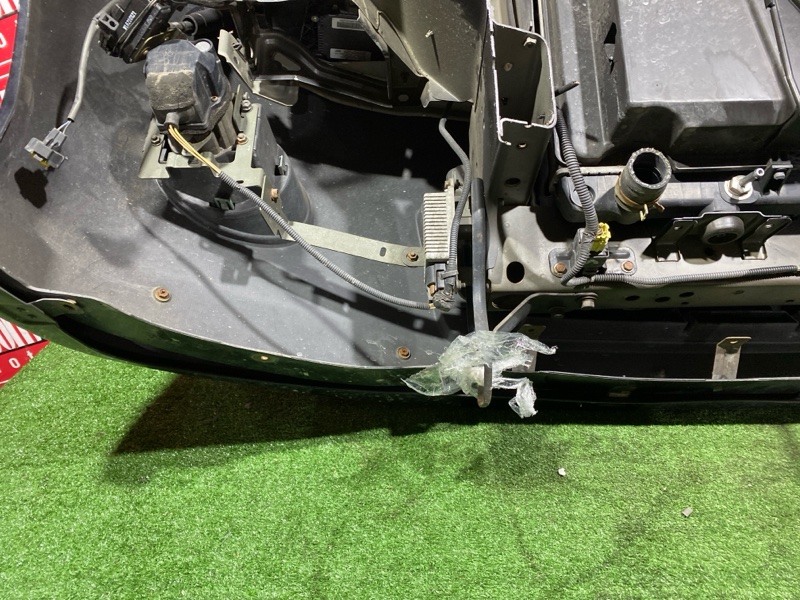 Ноускат, 65000 рублей, Красноярск