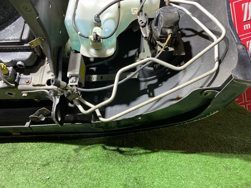 Ноускат, 65000 рублей, Красноярск