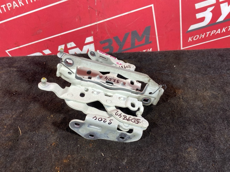 Петля (Шарнир капота), 2500 рублей, Солонцы