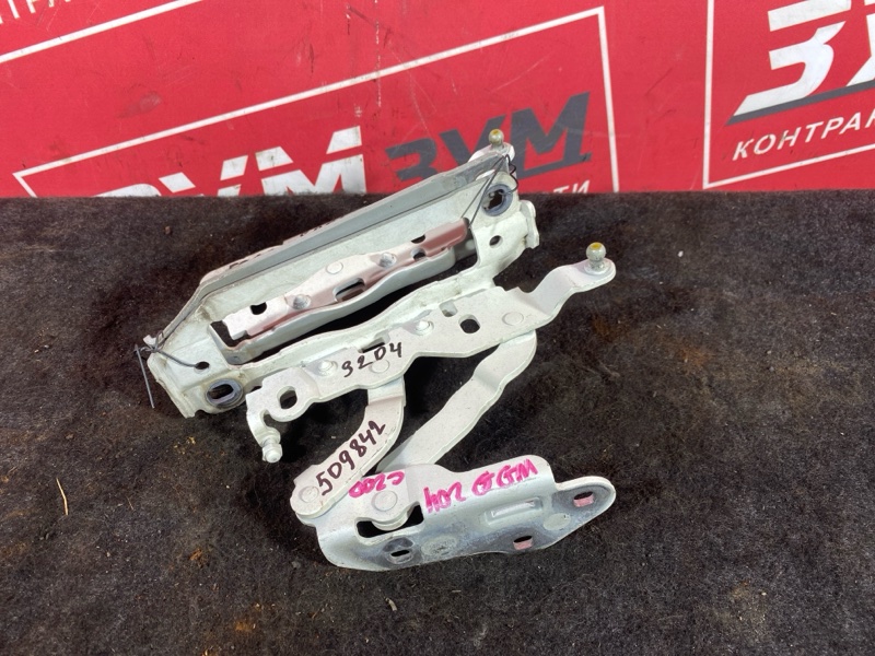 Петля (Шарнир капота), 2500 рублей, Солонцы